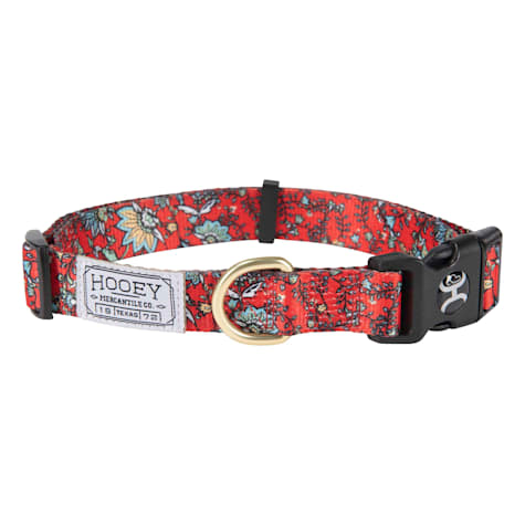 Hooey Nomad Dog Collar