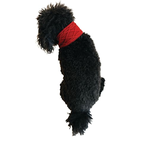 The Howls Cable Knit Dog Scarf