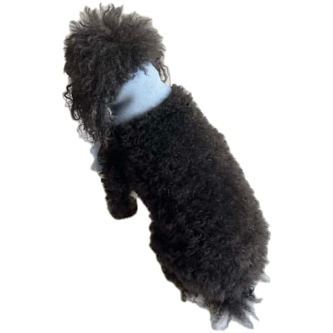 The Howls Sparkly Fringe Knit Dog Scarf