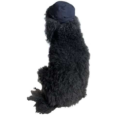 The Howls Glossy Puffer Hat for Dogs