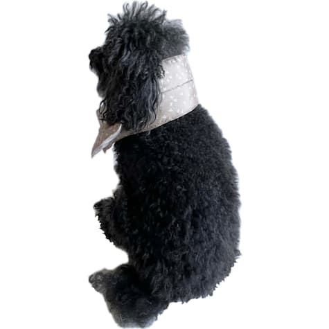 The Howls Floral Puffer Scarf for Dogs