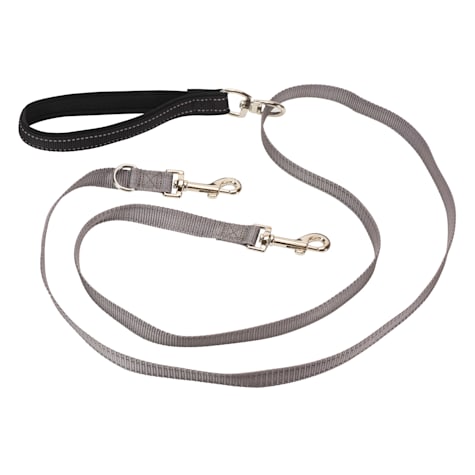 PetSafe Two Point Control Dog Leash