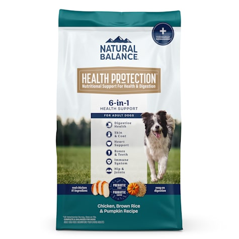 Natural Balance Health Protection Whole Body Health Easy on Digestion with Chicken, Brown Rice & Pumpkin Dry Dog Food