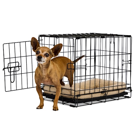 EveryYay 1-Door Dog Crate