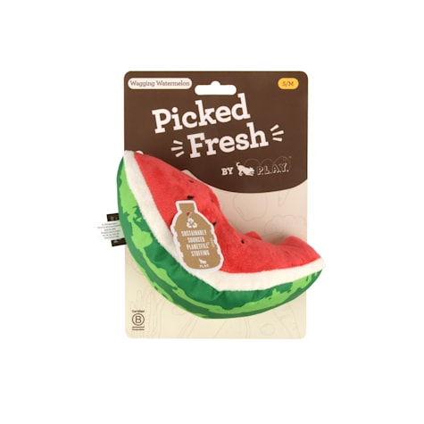 P.L.A.Y PET LIFESTYLE Wagging Watermelon Dog Toy