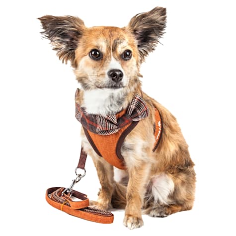 Pet Life Luxe 'Pawsh' 2-in-1 Mesh Reversed Adjustable Dog Harness and Leash W/ Fashion Bowtie