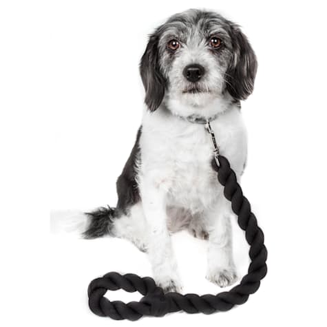 Pet Life Tough Tugger Industrial Strength Woven Close Training Dog Leash