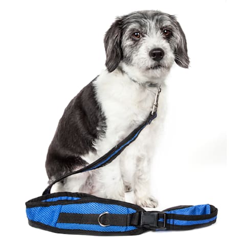 Pet Life Echelon Hands Free and Convertible 2-in-1 Training Dog Leash and Pet Belt with Pouch