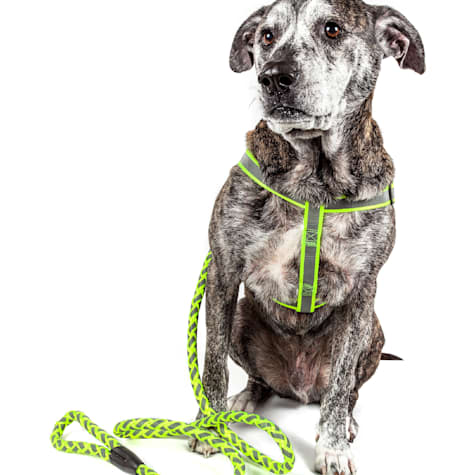 Pet Life Reflective Stitched Easy Tension Adjustable 2-in-1 Dog Leash and Harness