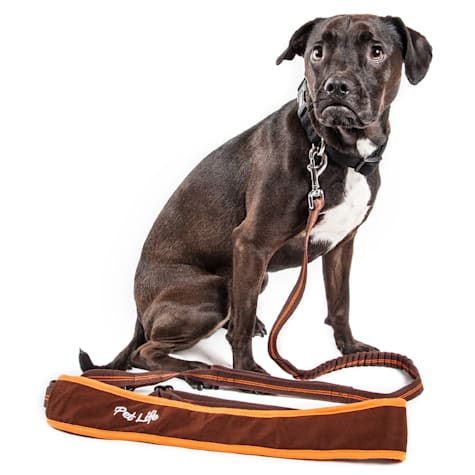 Pet Life 'Free-Fetcher' Hands Free Over-The-Shoulder Shock Absorbent Dog Leash