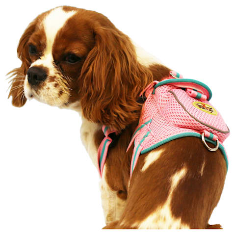 Pet Life Mesh Pet Harness With Pouch