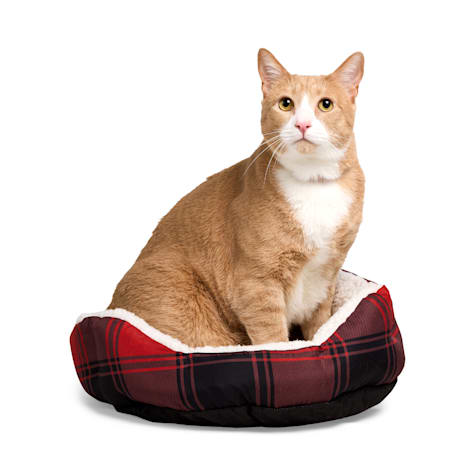 EveryYay Essentials Step-In Cat Bed