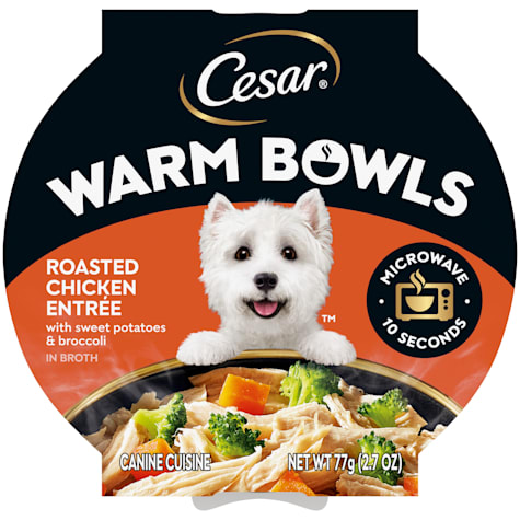 Cesar Warm Bowls Roasted Chicken Entree Wet Dog Food