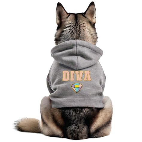 Buttercup Dogs That Rock Diva Dog Hoodie