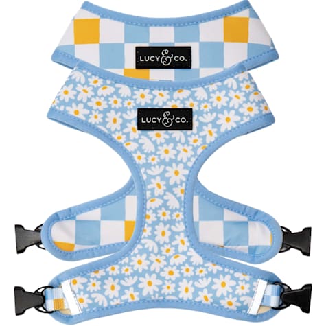 Lucy & Co. The Simply Splendid Reversible Dog Harness