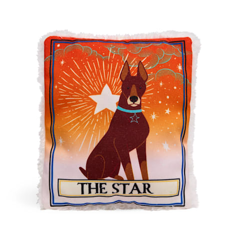 Bootique The Star Tarot Card Plush Dog Toy