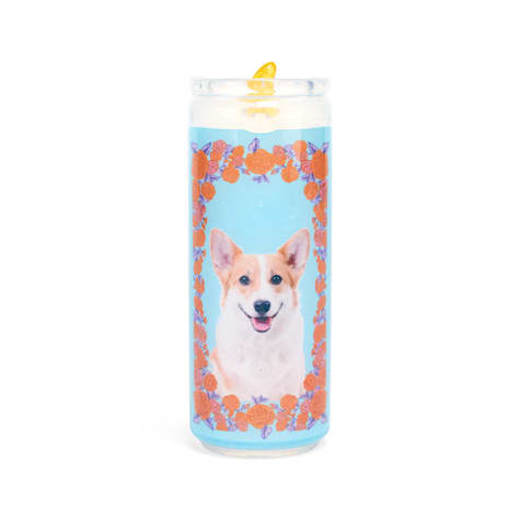 Bootique Dog Candle Blue Rubber Dog Toy