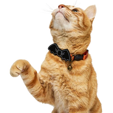 Bootique Bat Orange Breakaway Cat Collar