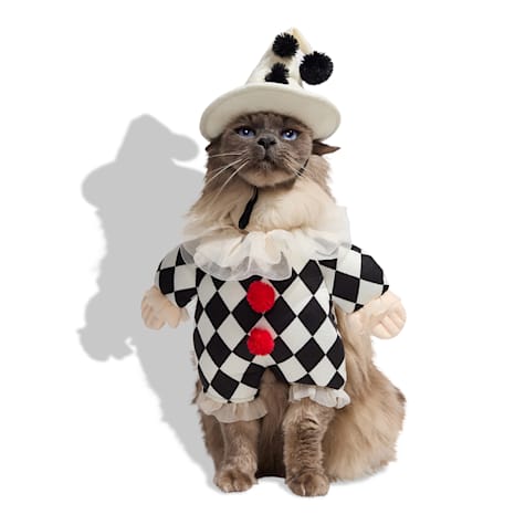 Bootique Clown 2-Piece Illusion Cat Halloween Costume