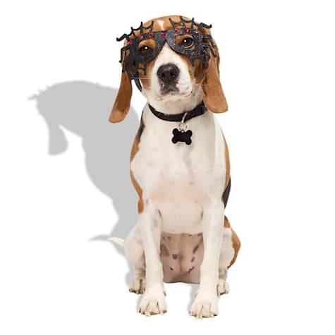 Bootique Spider Prop Costume Pet Glasses