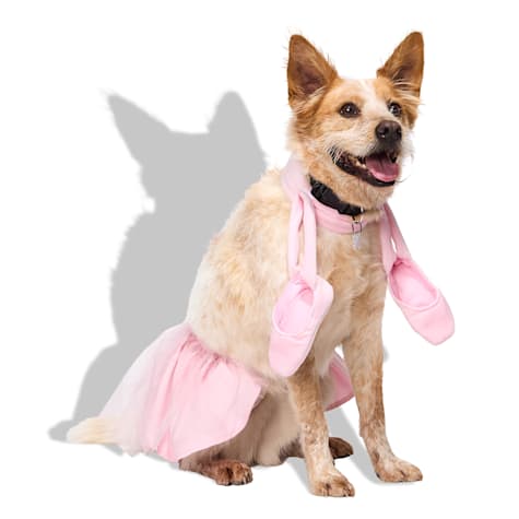 Bootique Ballerina 2-Piece Dog Halloween Costume