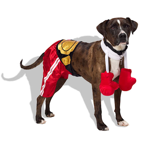 Bootique Boxer 2-Piece Dog Halloween Costume