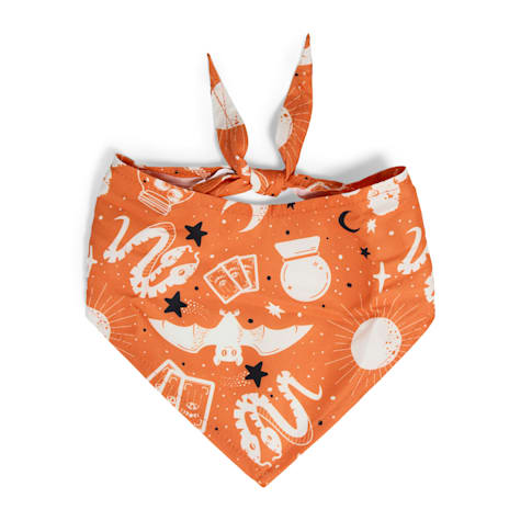Bootique Orange Halloween Print Dog Bandana