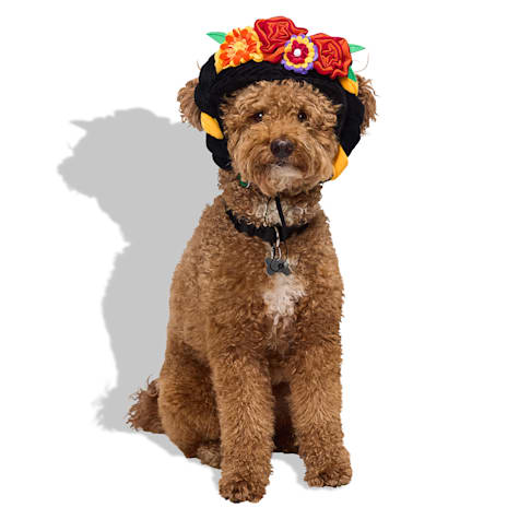 Bootique Dia de los Muertos Pet Costume Headpiece