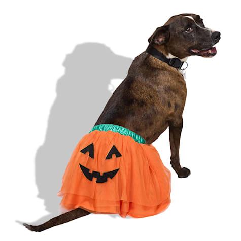 Bootique Pumpkin Jack-o-Lantern Pet Skirt
