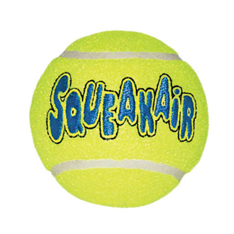 kong squeakair