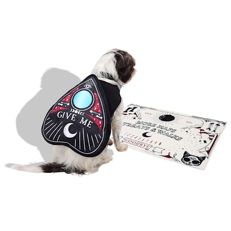 Bootique Fortune Board 2-Piece Pet Halloween Costume