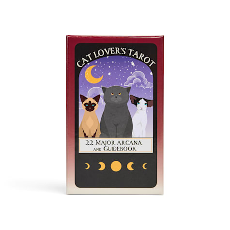 YOULY Cat-Themed Tarot Card Deck for Humans