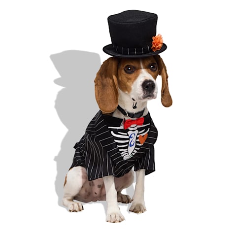 Bootique Dia de los Muertos Skeleton Tuxedo 2-Piece Pet Costume