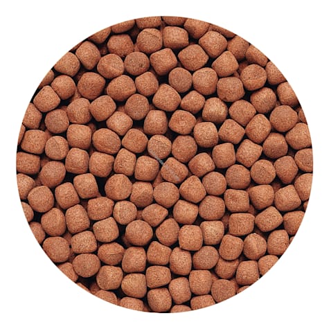 Hikari Cichlid Gold Large Pellets