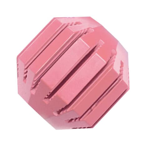 KONG Puppy Activity Ball Assorted Dog Toy