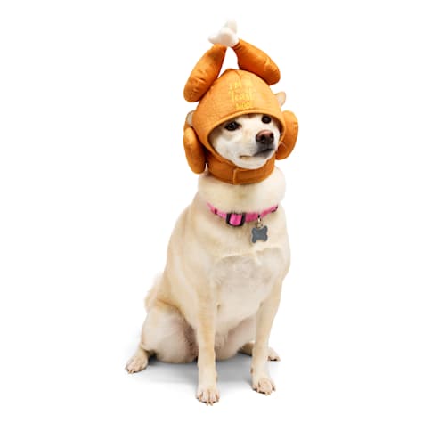 YOULY Feast Mode Turkey Pet Headpiece