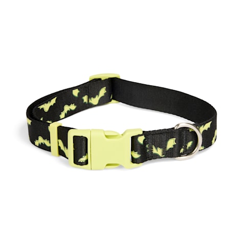 Bootique Glow Bat Dog Collar