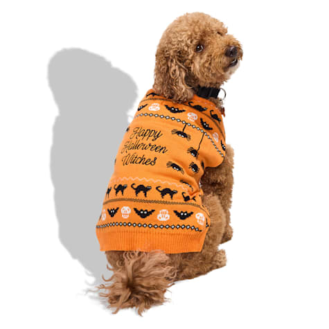 Bootique Witches Knit Pet Sweater