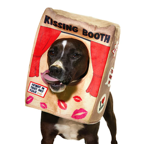 Bootique Kissing Booth Pet Costume Headpiece