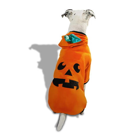 Bootique Pumpkin Jack-o-Lantern Pet Hoodie