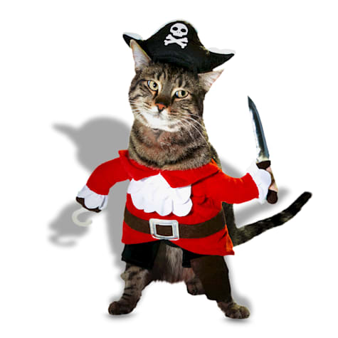 Bootique Pirate Cat Costume