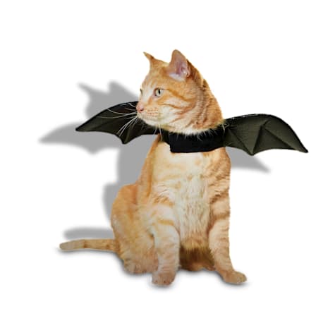 Bootique Bat Wings Cat Halloween Costume