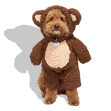 Bootique Teddy Bear Illusion Pet Halloween Costume