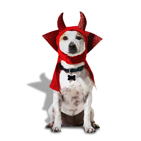 Bootique Devil Pet Costume Headpiece