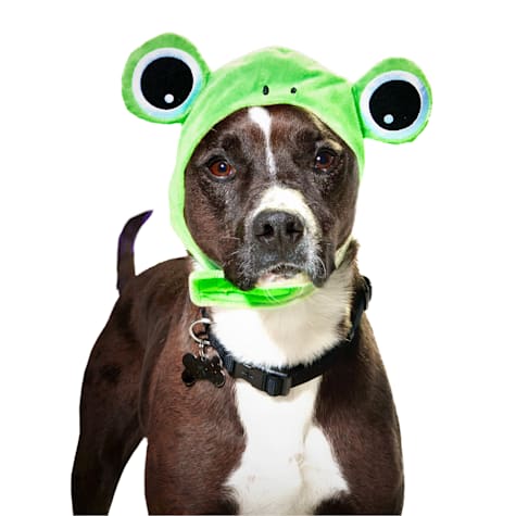 Bootique Frog Pet Costume Headpiece