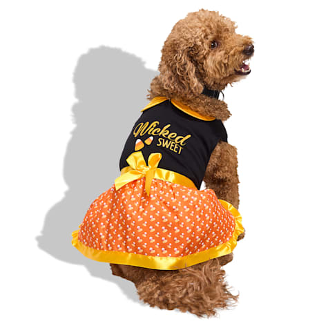 Bootique Wicked Sweet Candy Corn Pet Dress
