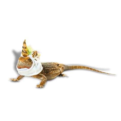 Bootique Unicorn Bearded Dragon Halloween Costume