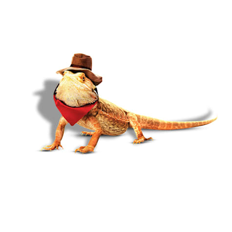 Bootique Cowboy Bearded Dragon Halloween Costume