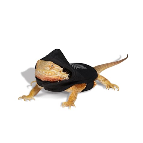 Bootique Skeleton Bearded Dragon Halloween Costume