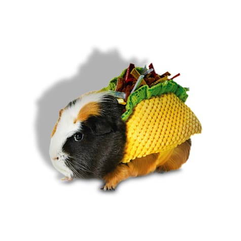 Bootique Taco Small Animal Halloween Costume